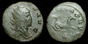 Gallienus Zoo Issue, Hippocamp Gallienus Zoo Issue, Hippocamp