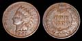US Indian Head Penny 1901 US Indian Head Penny 1901
