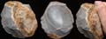 Paleo-Indian (Early Man) Heavy Hand Axe, c. 8000 BC Paleo-Indian (Early Man) Heavy Hand Axe, c. 8000 BC