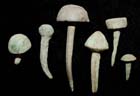 A sextet of Roman Era decorative Nails, c. 2nd-4th Cent. AD A sextet of Roman Era decorative Nails, c. 2nd-4th Cent. AD