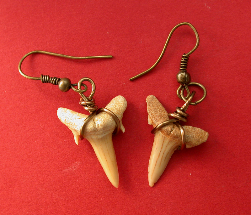 Fossil Shark Teeth Earrings