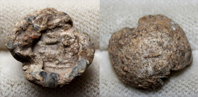 Roman Lead Seal, Crouching Hare, c. 1st-3rd Cent AD Roman Lead Seal, Crouching Hare, c. 1st-3rd Cent AD