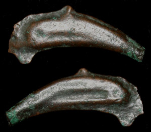Olbia, Sarmatia, Cast Dolphin Money, c. 5th-4th Cent. BC Olbia, Sarmatia, Cast Dolphin Money, c. 5th-4th Cent. BC