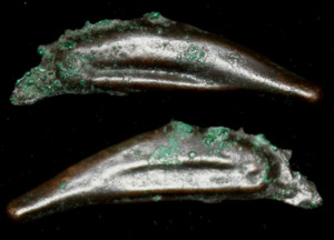 Olbia, Sarmatia, Cast Dolphin Money, c. 5th-4th Cent. BC Olbia, Sarmatia, Cast Dolphin Money, c. 5th-4th Cent. BC