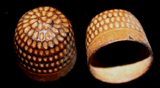 Cast Bronze Thimble, Medieval late 15th Cent. AD Cast Bronze Thimble, Medieval late 15th Cent. AD