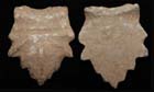 Roman Wine Bowl Vine Leaf Adornment, c. 1st-3rd Cent. Roman Wine Bowl Vine Leaf Adornment, c. 1st-3rd Cent.