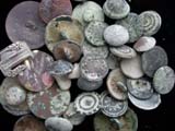 33 19th Cent Buttons from Cypress 33 19th Cent Buttons from Cypress