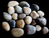 Dinosaur Gastroliths, Dinosaur Gizzard Stones Dinosaur Gastroliths, Dinosaur Gizzard Stones